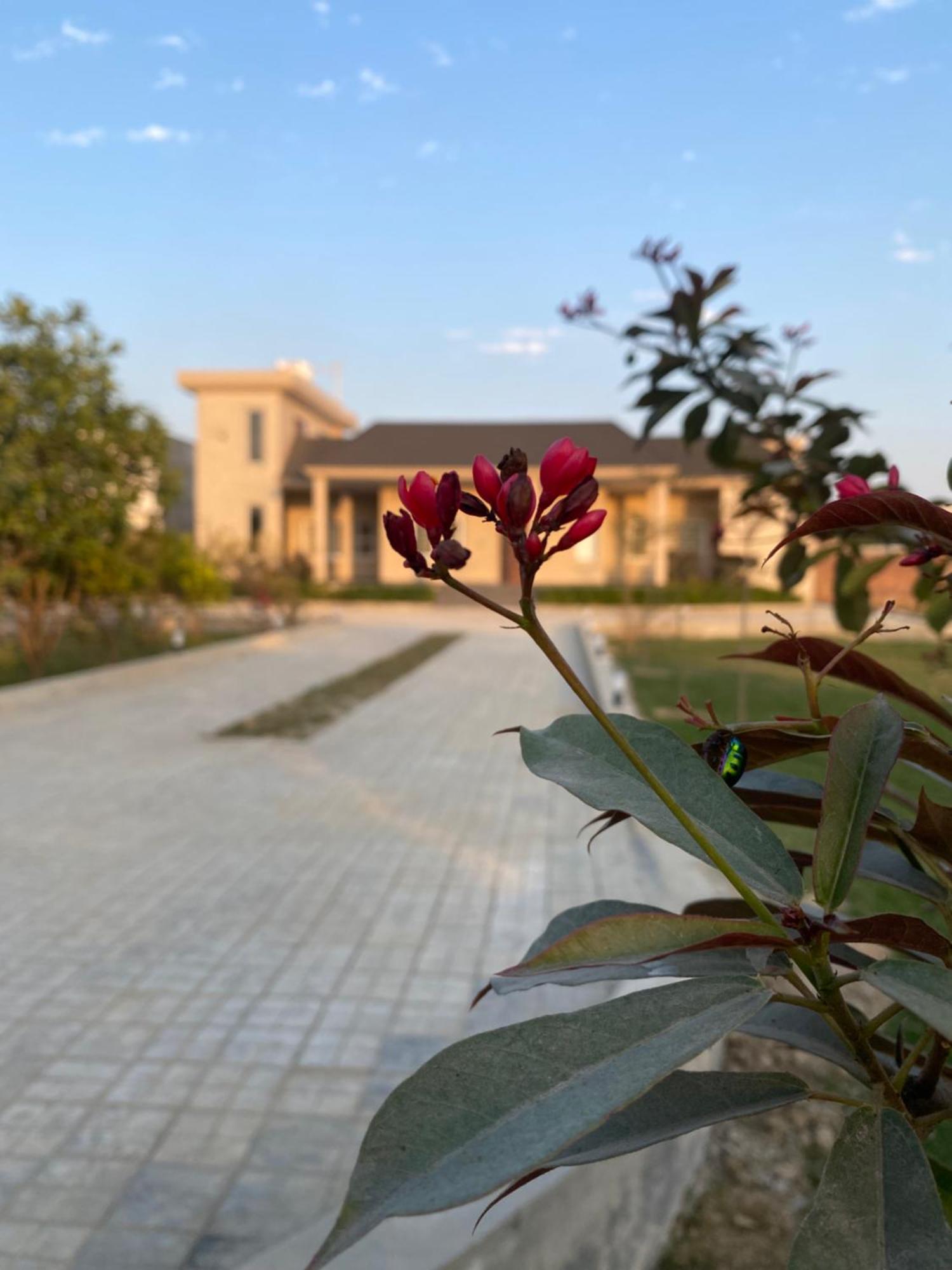 Haven Farmstays Amritsar Exterior foto